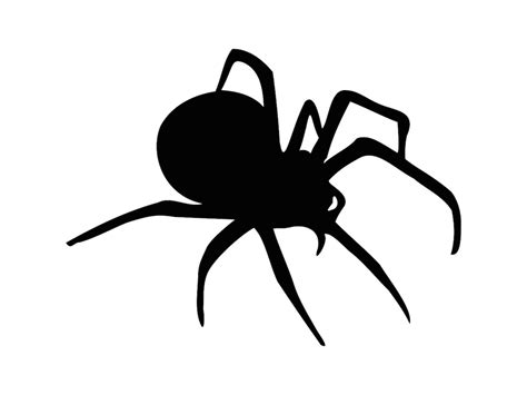 Download 166+ Black Spider Cut Out for Cricut